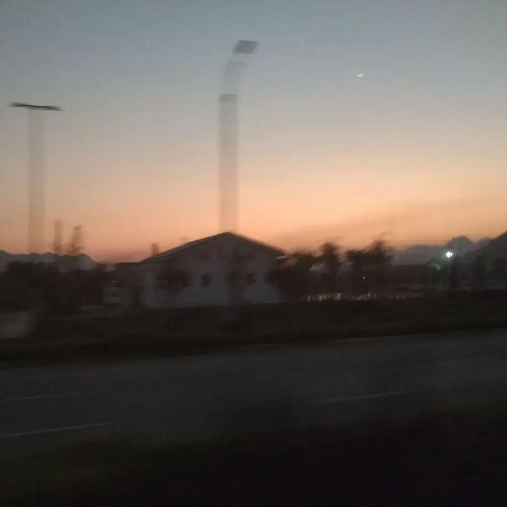 向上