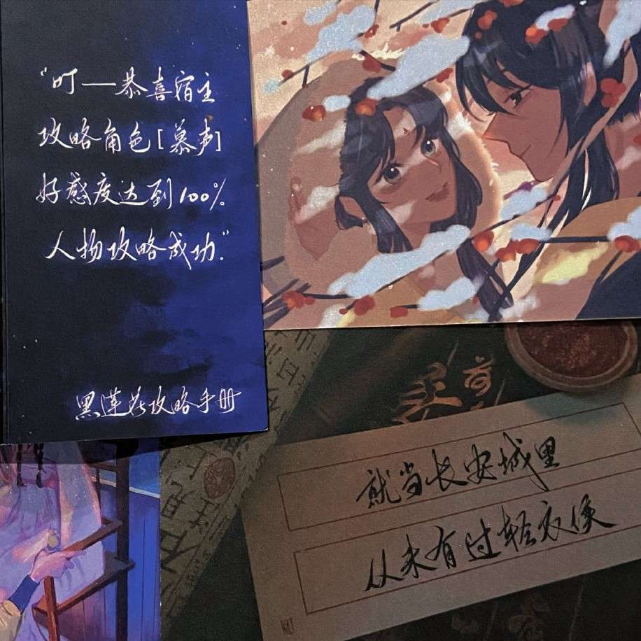 《黑莲花攻略手册》