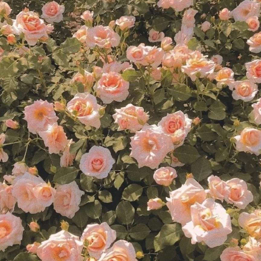 努力每一天的专辑