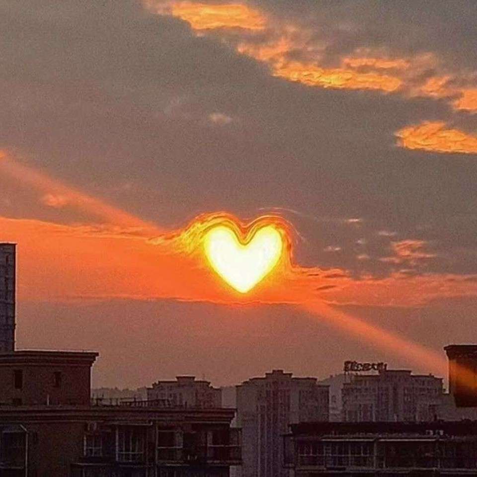 刻在骨子里的遗憾🥥