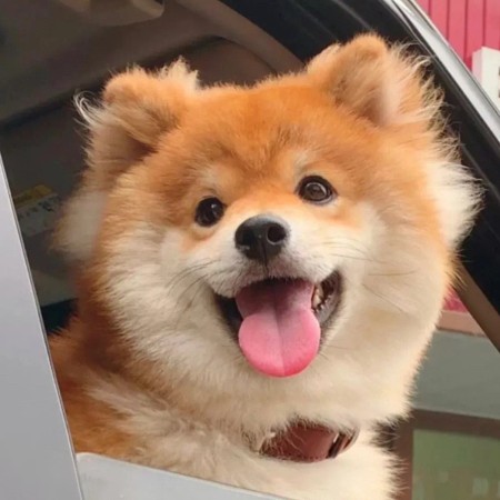 追星文案🍒推荐推荐优质明星叭🍑