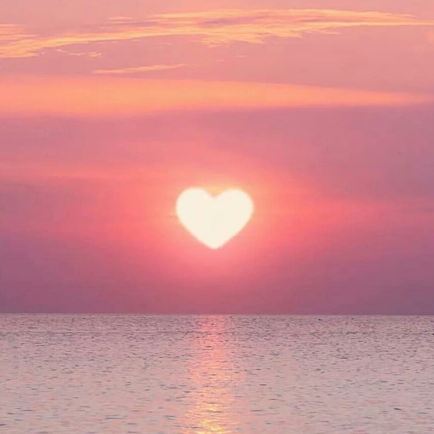 伟大无私的爱💓