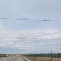 你让我自己怎么办？