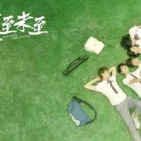 你还能想起哪些《夏至未至》里的句子呢