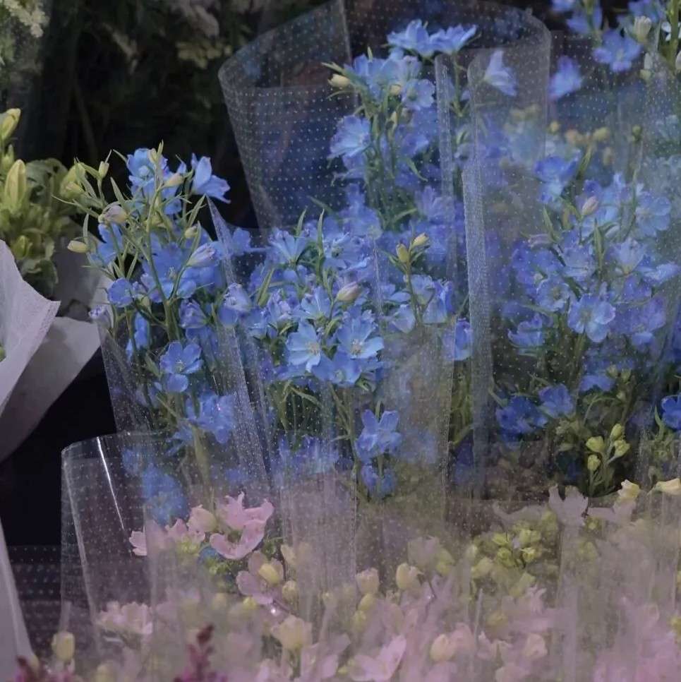 个花自有个花香