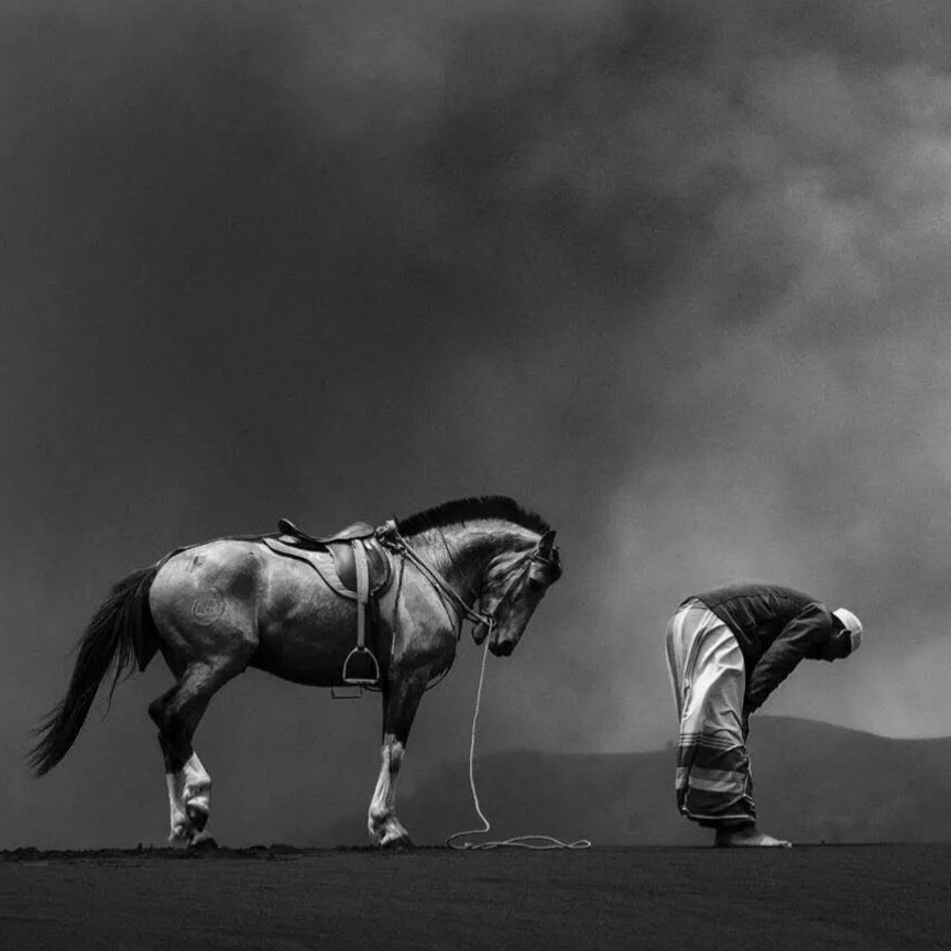 青衫纸鹤的专辑