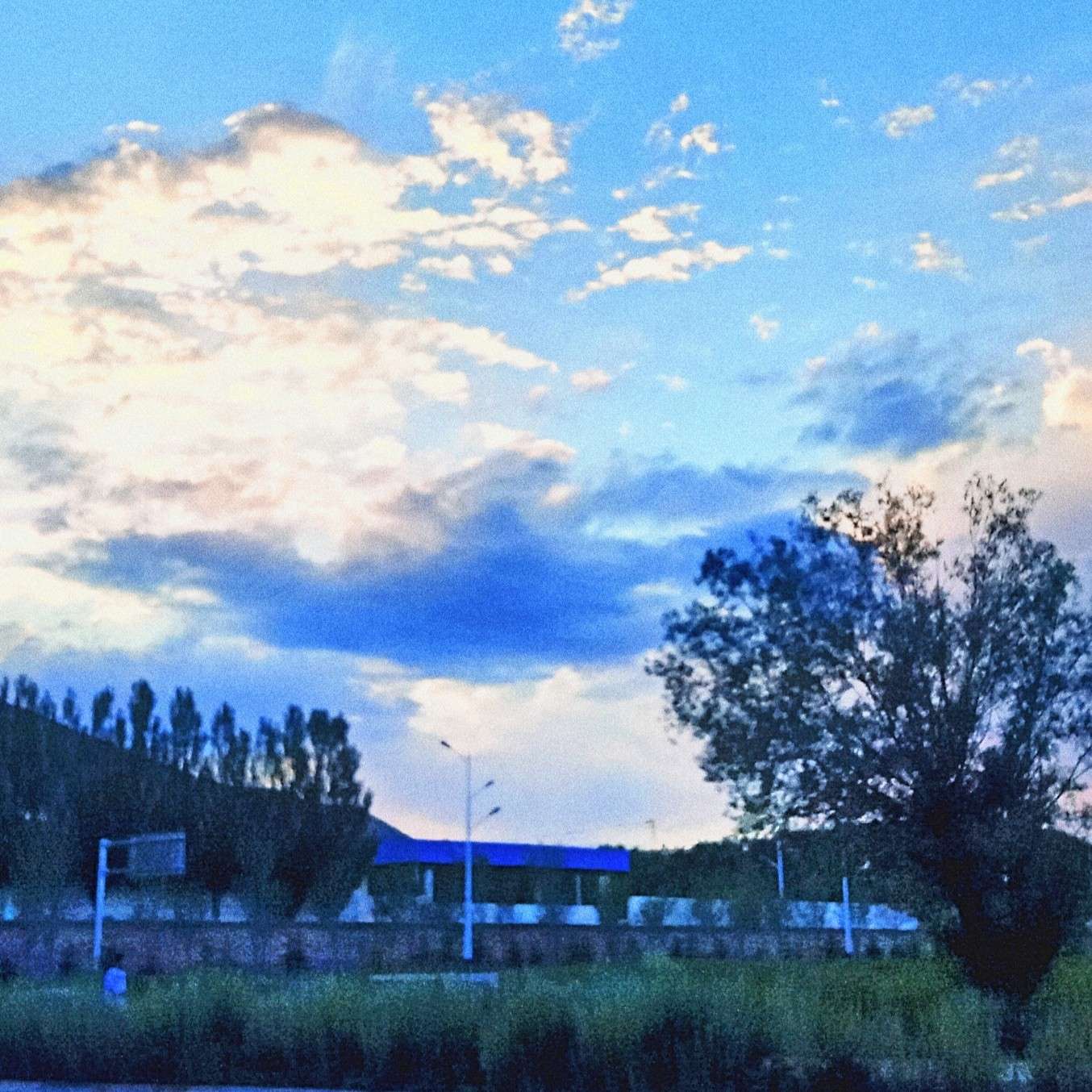 李梓辞的专业辑