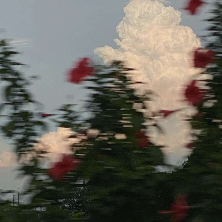 浪漫，温柔，治愈系