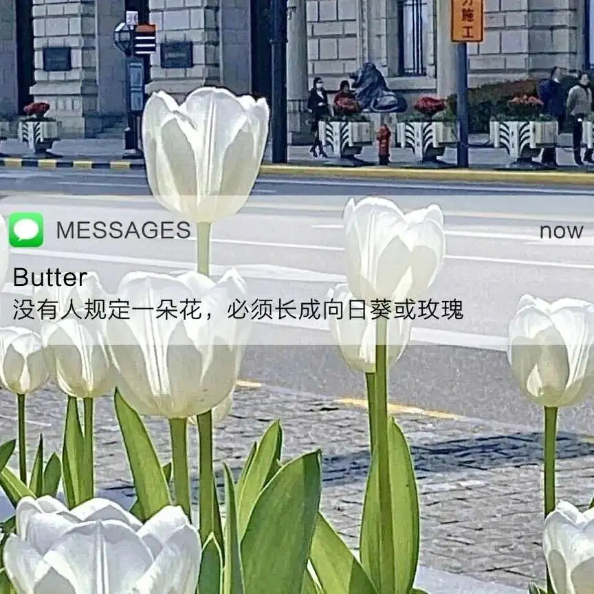 将爱藏于大海🌊