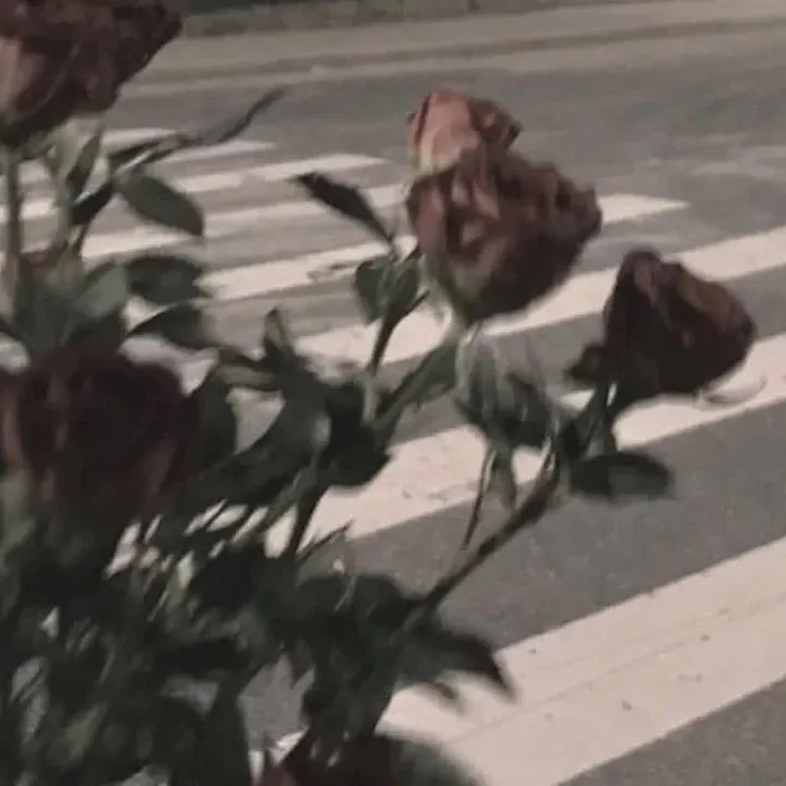 失恋&暗恋&崩溃