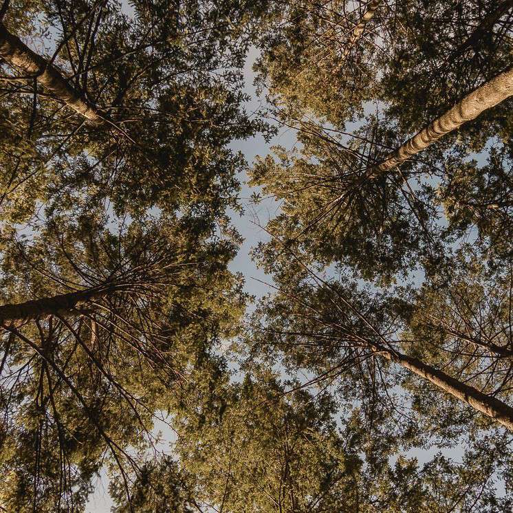 ﾞ━=͟͟͞͞(Ŏ◊Ŏ ‧̣̥̇)