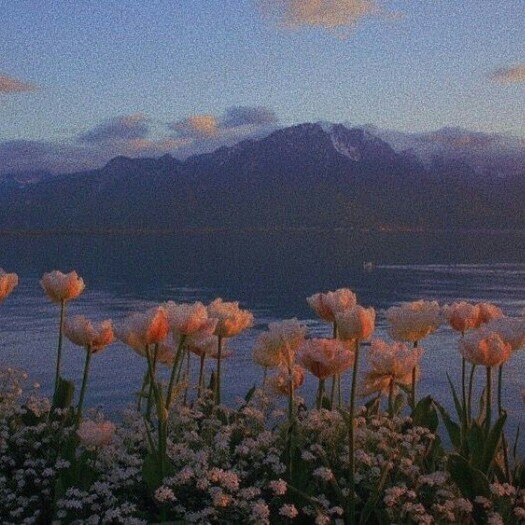 真理，看清现实