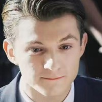 汤姆赫兰德    荷兰弟