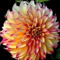 那些触碰你内心的唯美句子