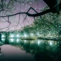 孤独与庸俗，你选择什么