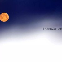 那些让你回想起青春的句子