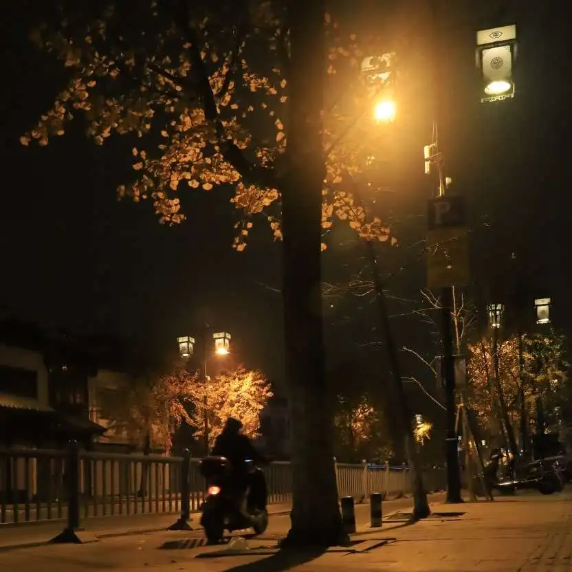 走在暗夜里的行者的专辑