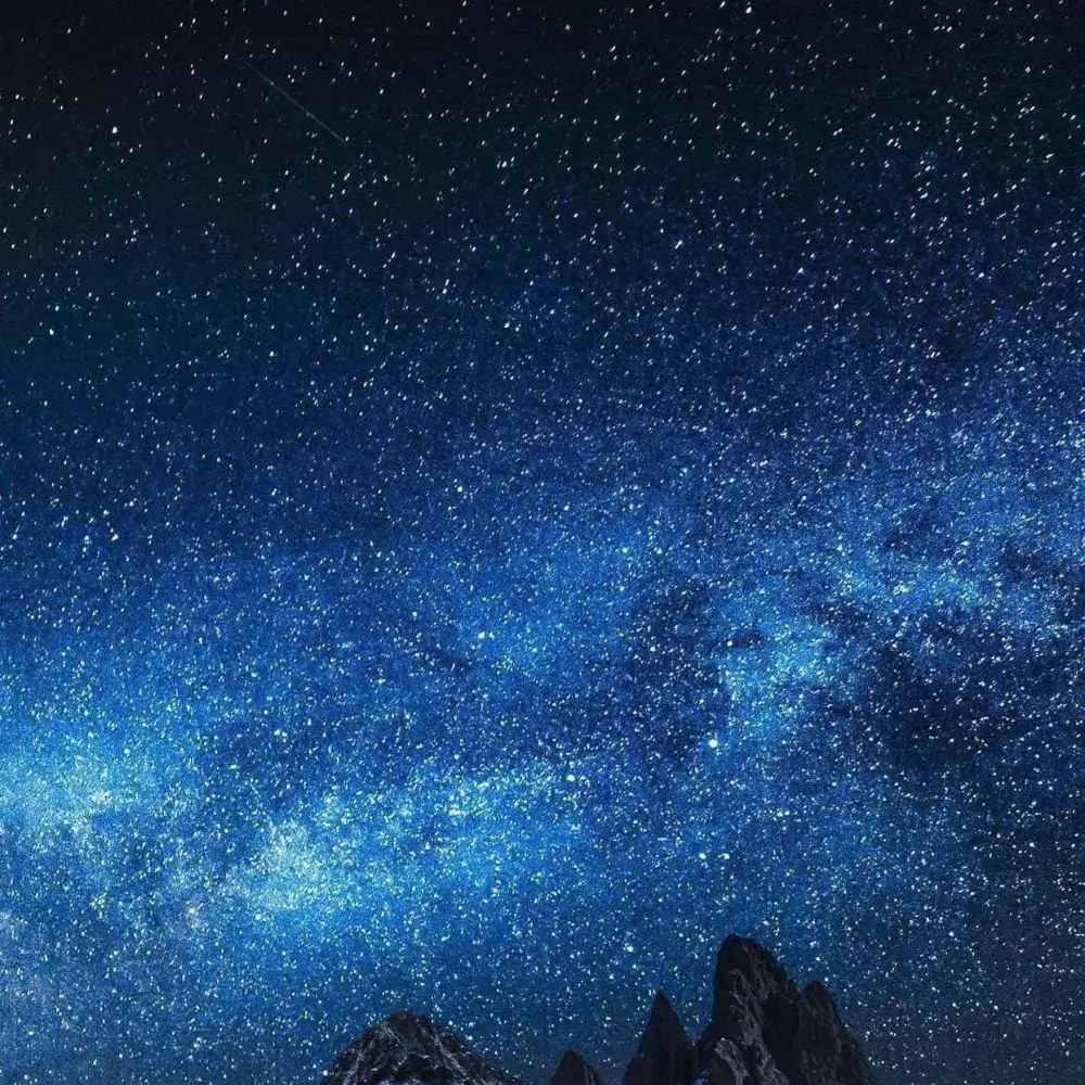 言情小说文案棺