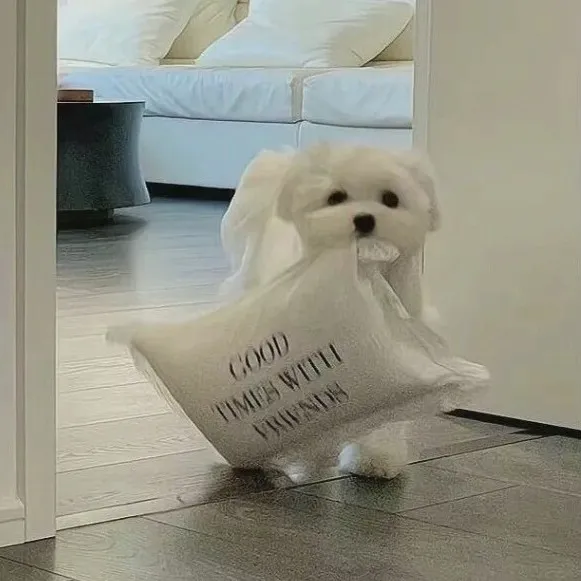 友谊