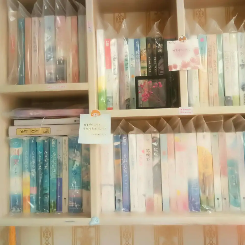 一次元的风吹不到三次元，但我永远爱纸片人