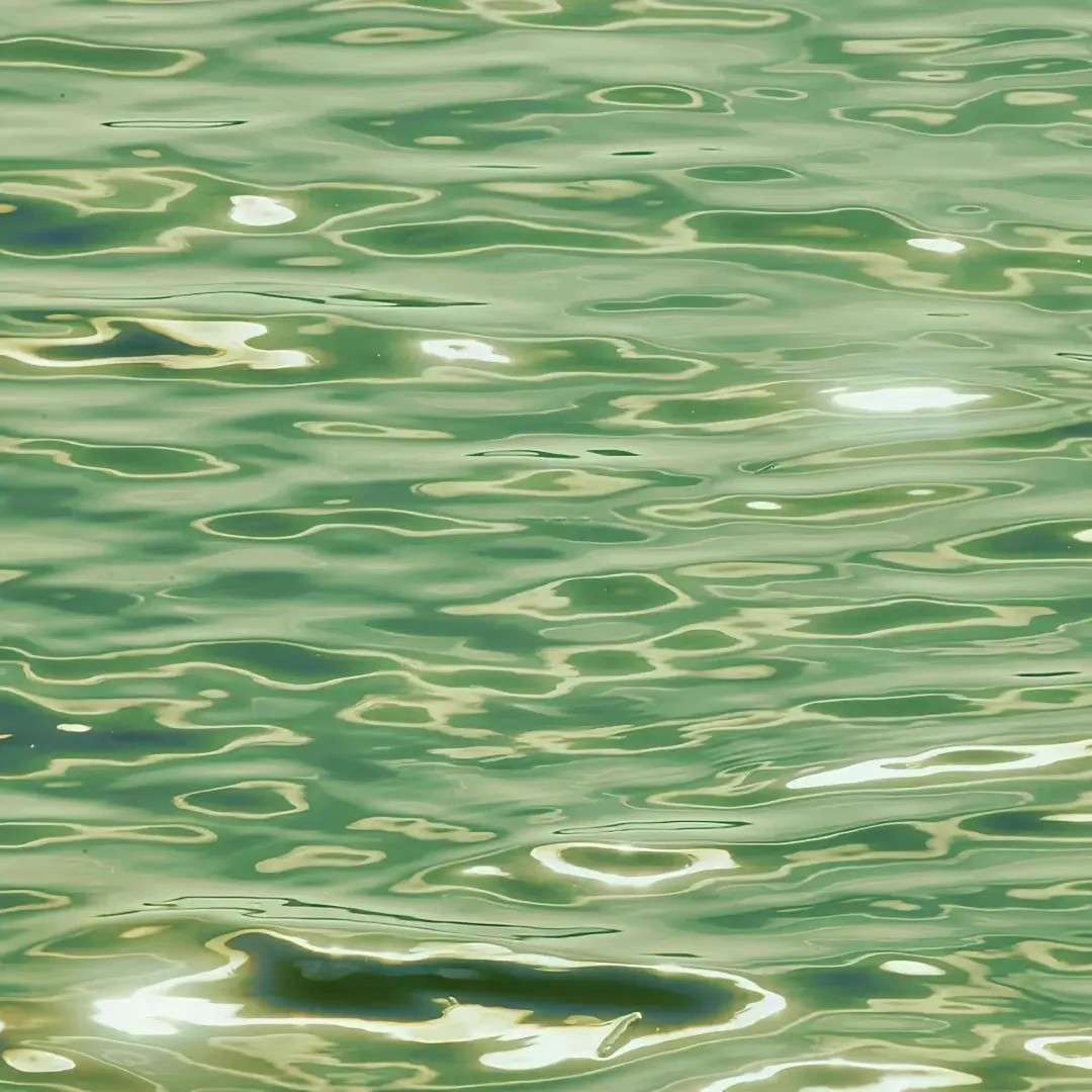 大约在冬季.的专辑