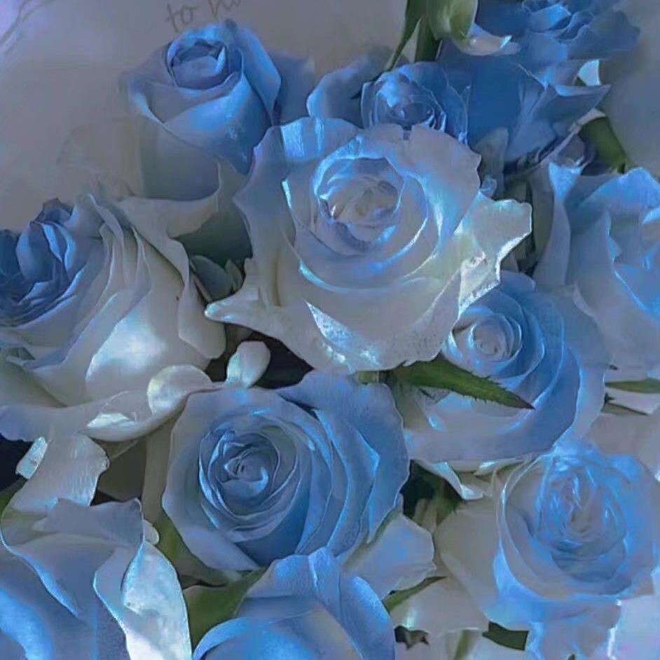 是美美de句子啊🌠