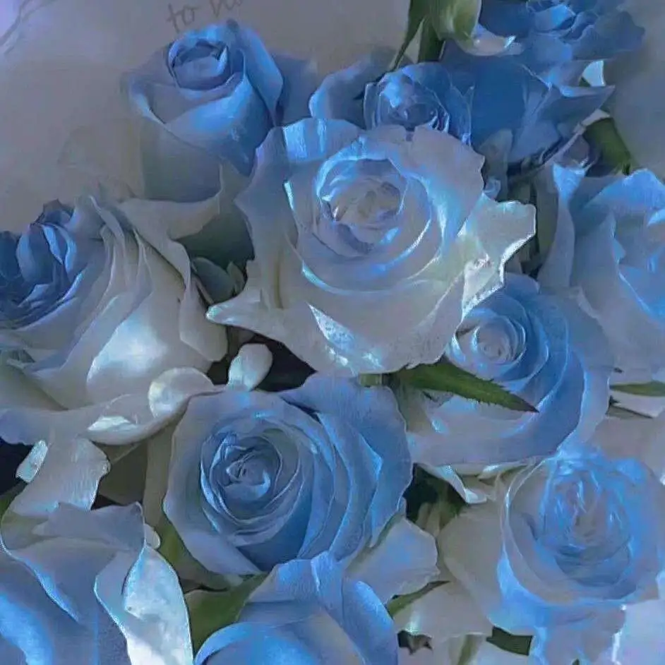 是美美de句子啊🌠