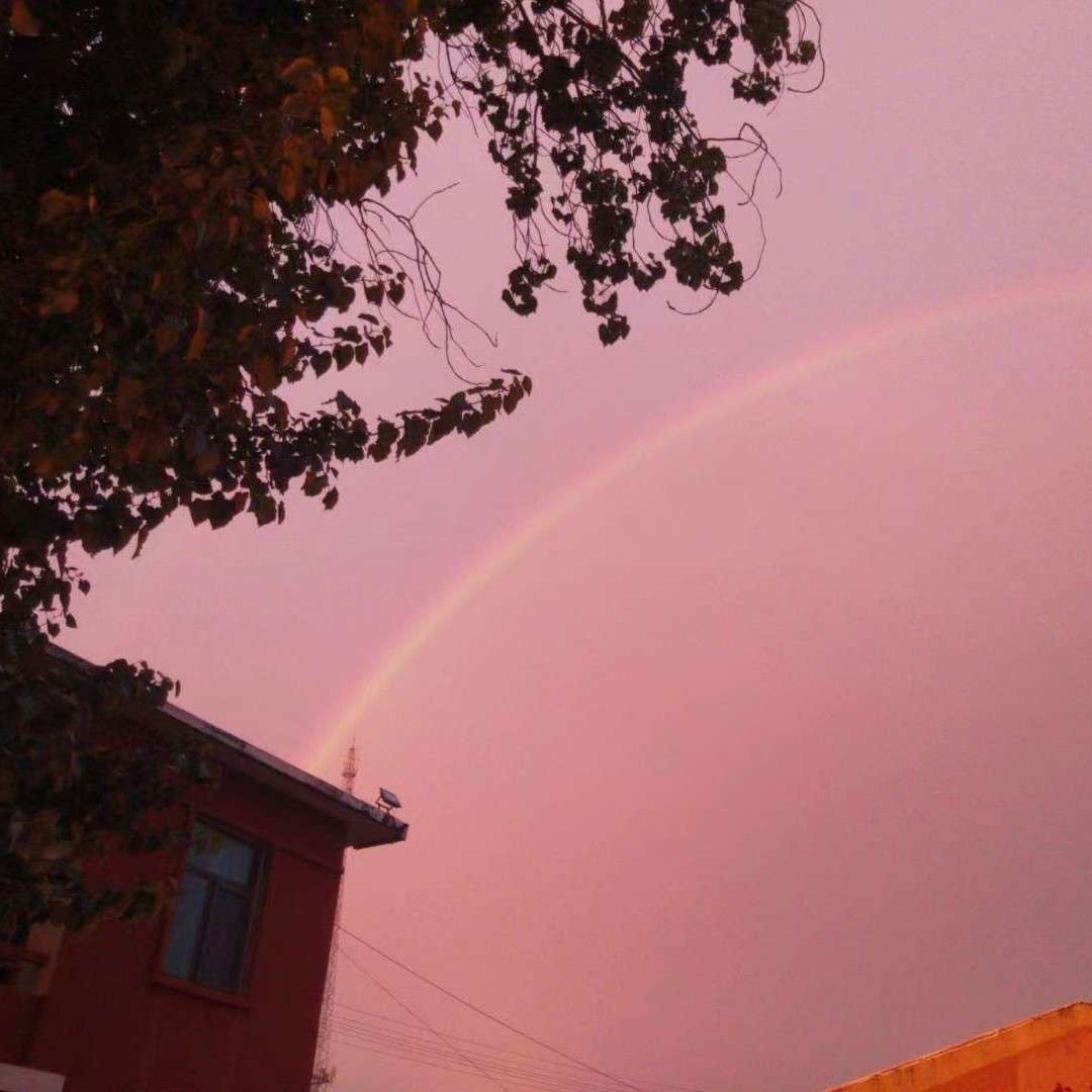 情啊，爱啊，也就如此