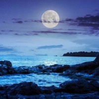 你听过最心酸的一句话是什么？