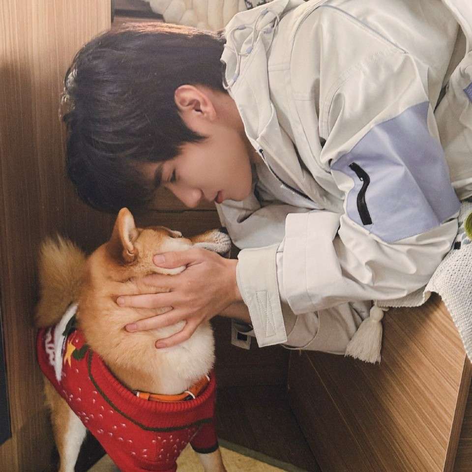 (ง •_•)ง,加油