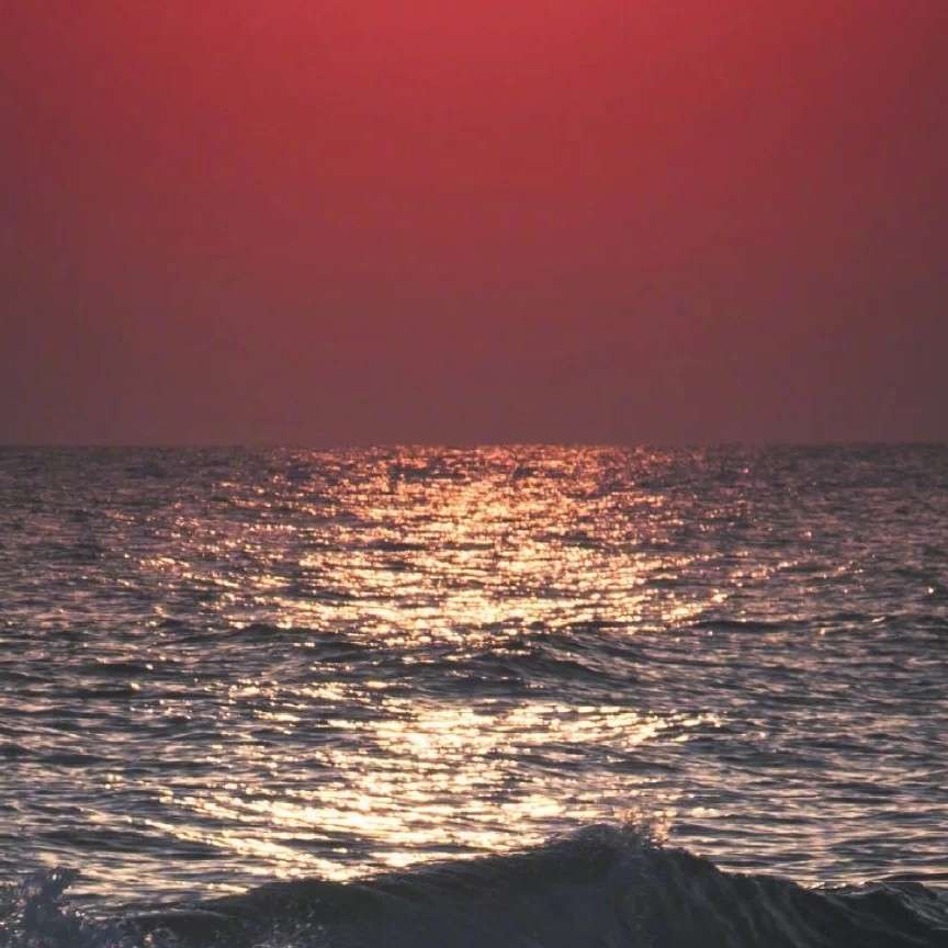 浪潮来临的那一天