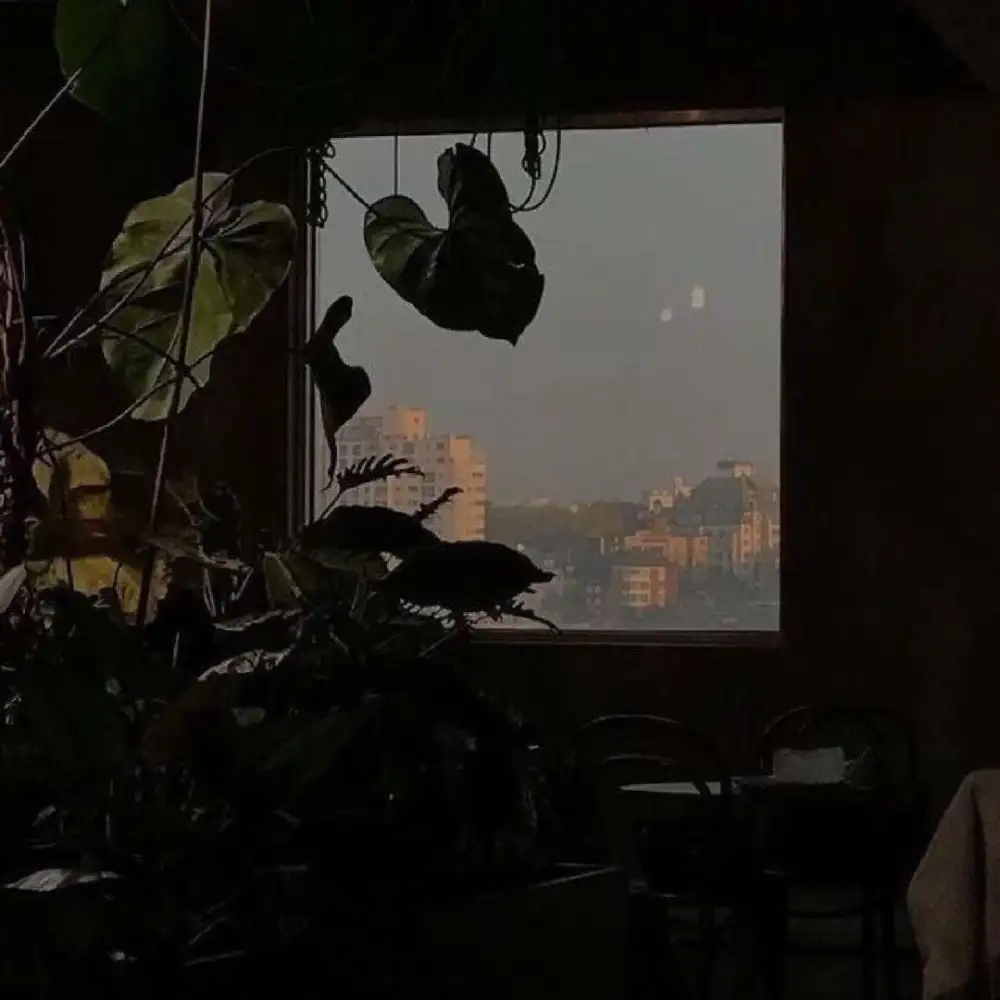 无用的伤春悲秋（个人原创）