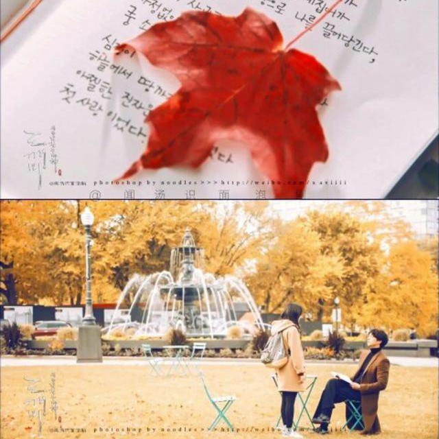 最耀眼的那些美好