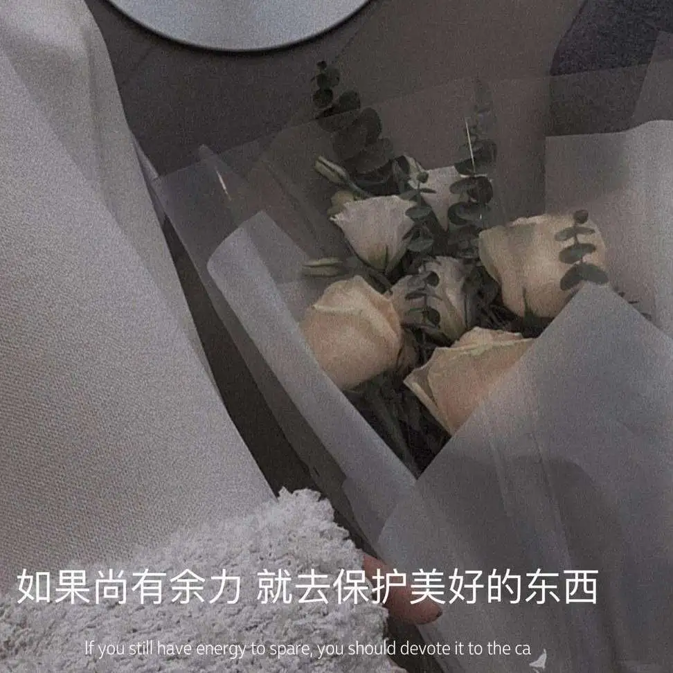 期待明日之后