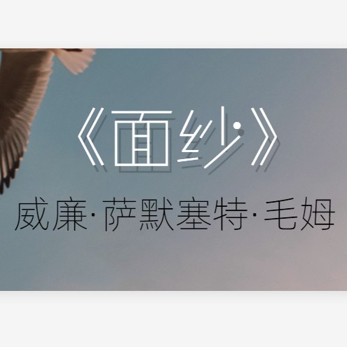 《面纱》