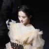 赵丽颖