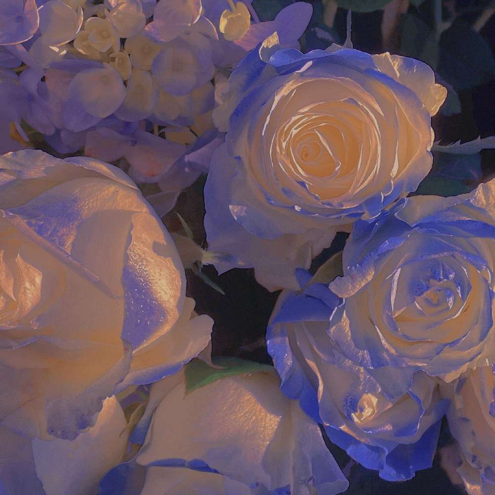 每句都温柔浪漫文艺到爆炸