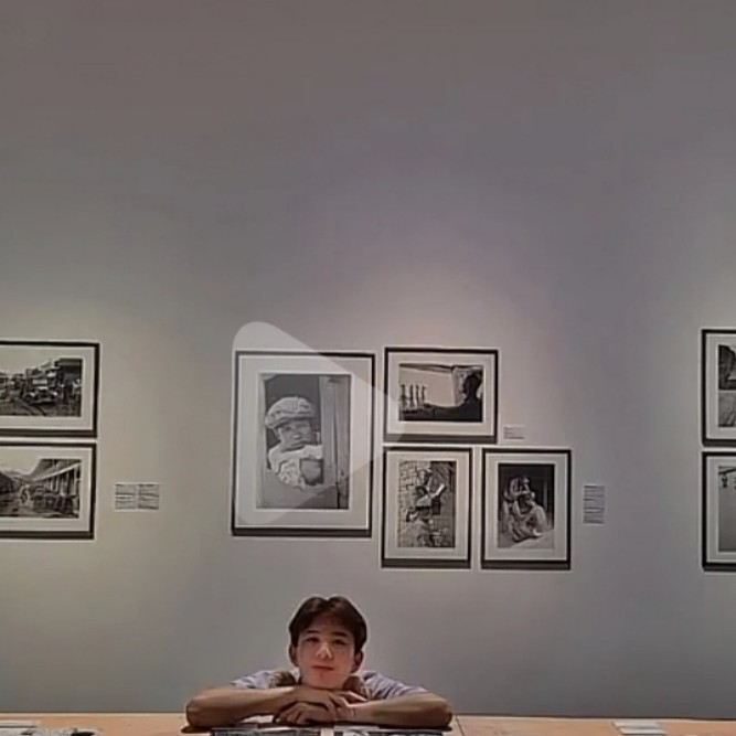 向着“枫”的方向，归“林”