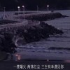 情
