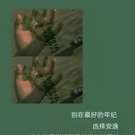 ※清风荷⌒韵的专辑