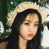 颖翡一龙