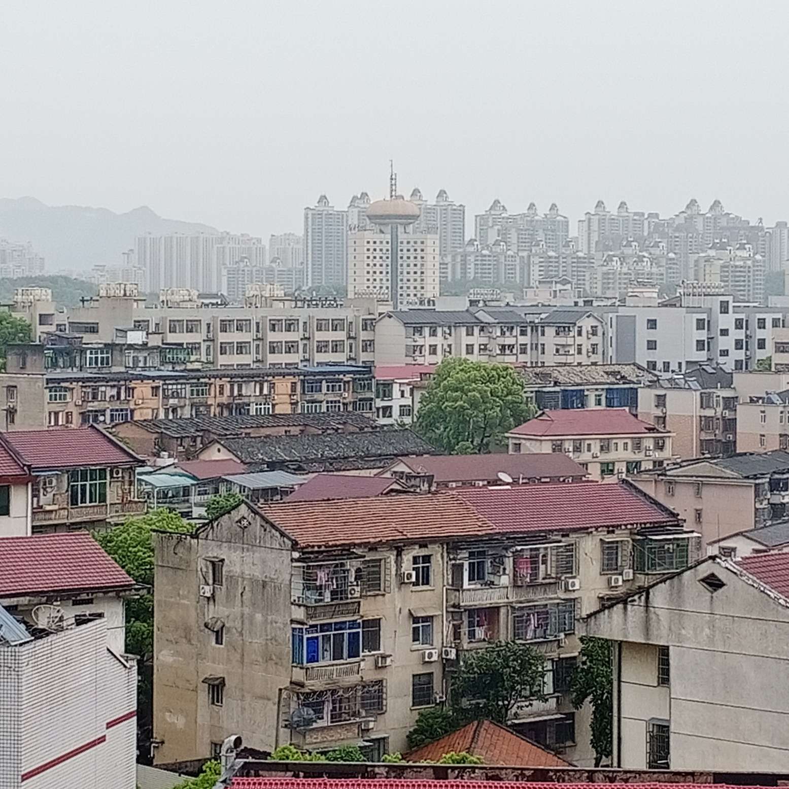 日常专辑─=≡Σ((( つ•̀ω•́)つ动感光波哔哔哔!!!