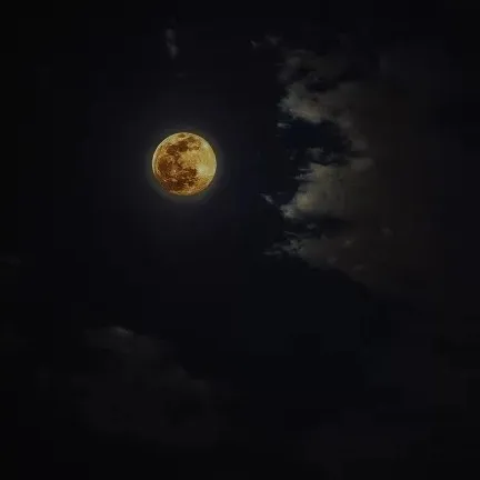 梦后碎笔