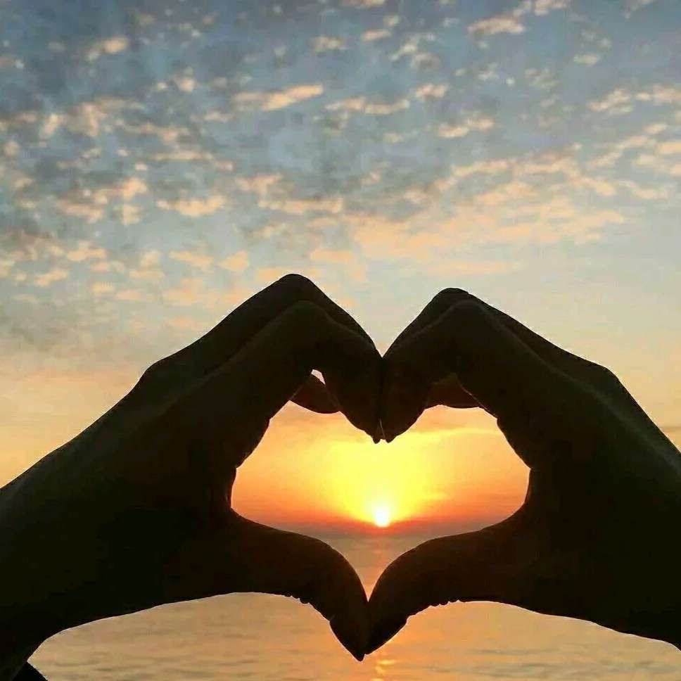 俞晴朝霞的专辑