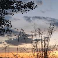 你印象最深的一个人写给你的一句话 你还记得么。