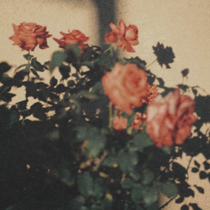 让人看一眼就心动万分的句子！