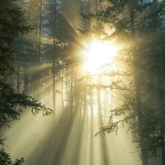 《你到底学不学》