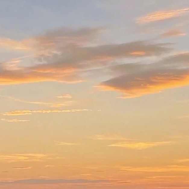 小明是怎么死的