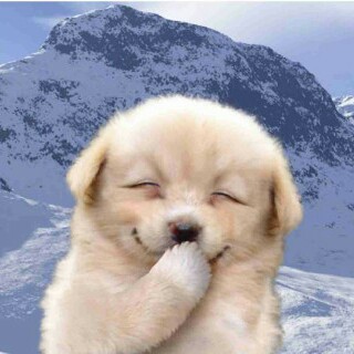 那些关于神回复的搞笑文案