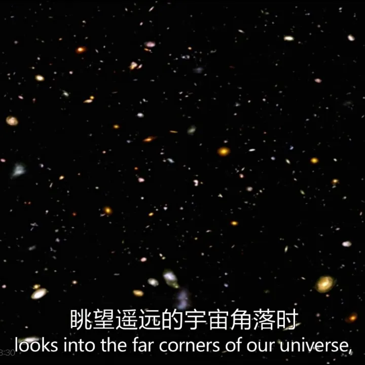 承受花的重量